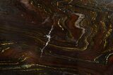 Polished Tiger Iron Stromatolite Slab - Billion Years #314871-1